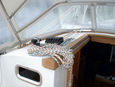 Sale the yacht Ovni 345 «E2» (Foto 5)