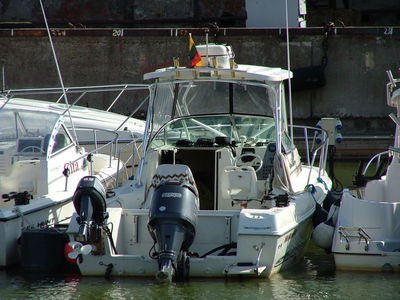 Sale the yacht Wellcraft Costal Walkaround 240 «Fortis»